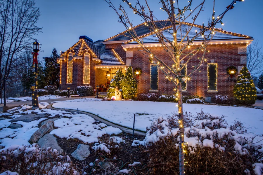 Christmas Light Installations in Chesapeake.jpg