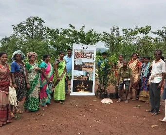 imgi_58_Tree-plantation1.jpg