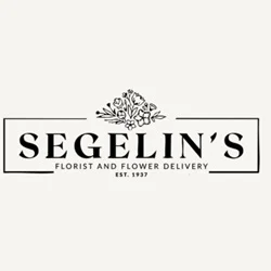 Segelin