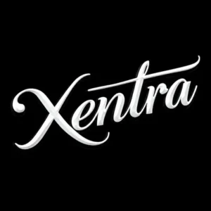 Xentra Auto - Mobile Detailing