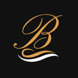 Blackout Auto Detail logo 250px.png