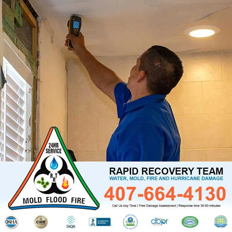 Mold Removal Orlando Florida.jpg
