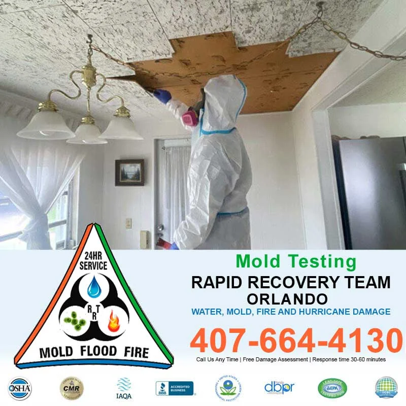 Orlando-Mold-Testing.jpg