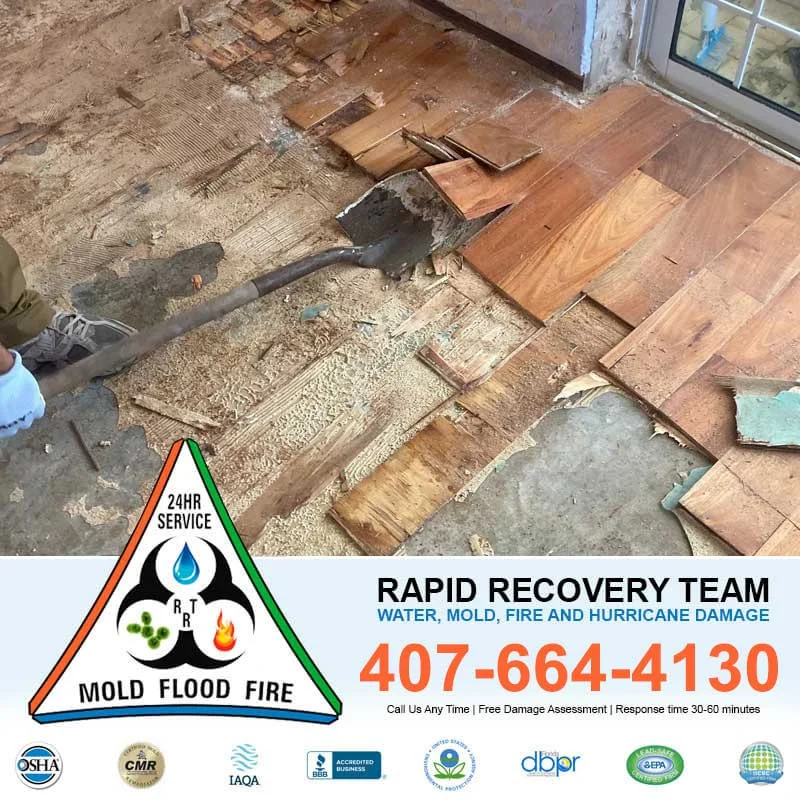 Water Damage Restoration Kissimmee.jpg