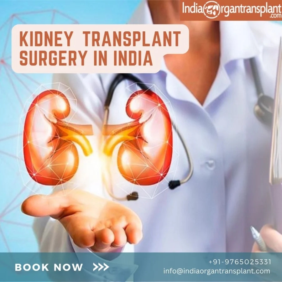 Kidney Transplant Surgery In India..jpg