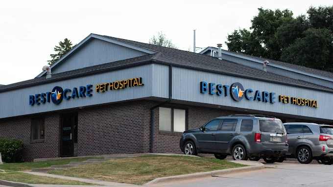 Best care pet hospital.jpg