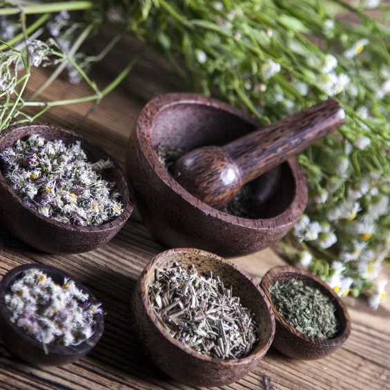 HolisticMedicine3.jpeg