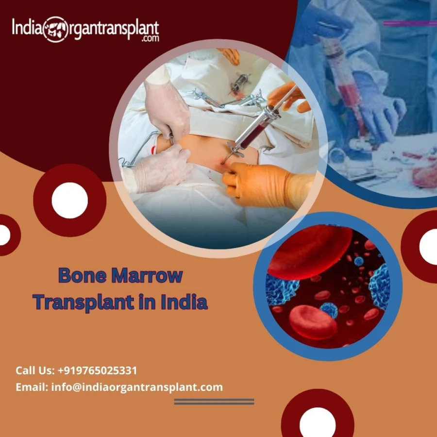 Bone Marrow Transplant in India.jpg