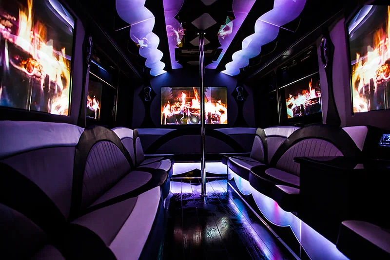 30-passenger-party-bus2.jpg
