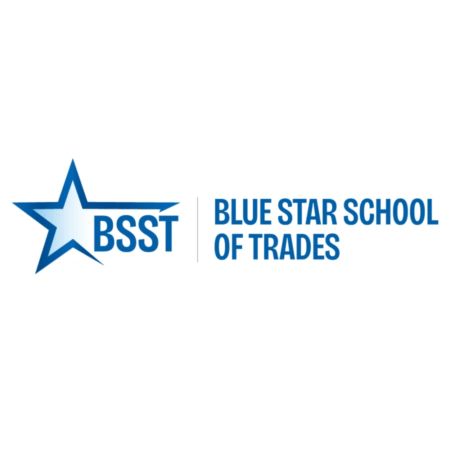 BSST-with-BG.png