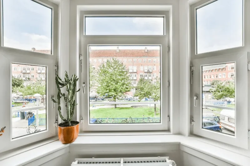 Bay Windows.png