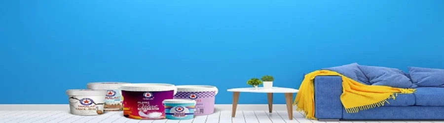 tara banner.jpg