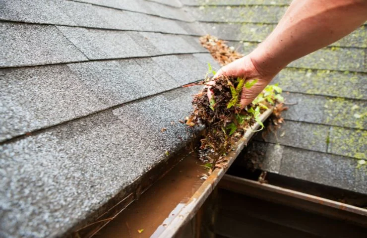 Gutter Cleaning by Local Pros.jpg