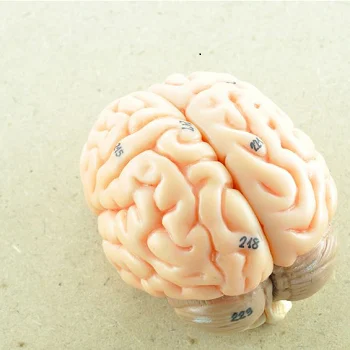 Neurology&Neurosurgeons1.png