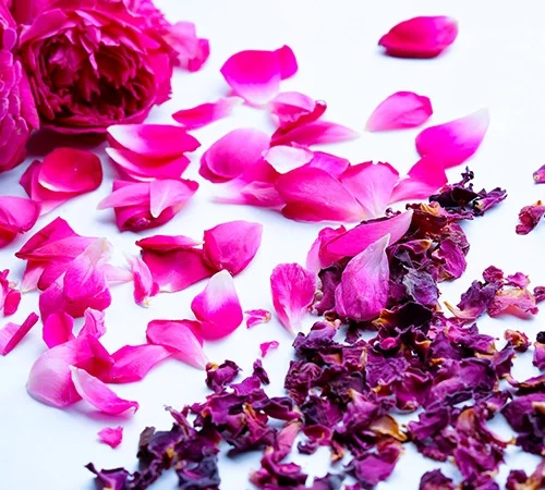 rose-petals-barefruit.jpg