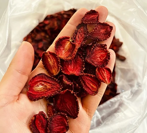 solar-dries-berry.jpg