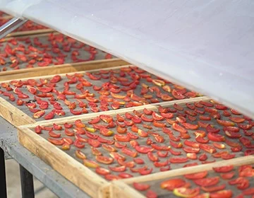 tomato-dried-veg (1) (1).jpg