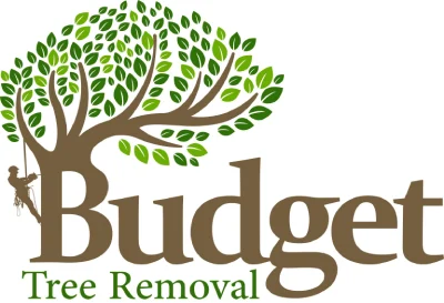 budget_tree_removel_logo.png