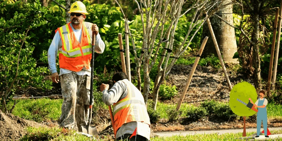 landscaping image.png