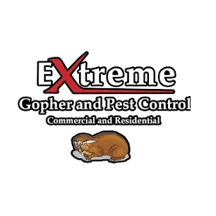 download (5).png